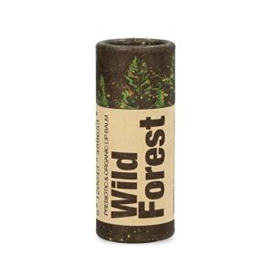 Bio Lip Balm Wild Forest von HANDS ON VEGGIES | für strapazierte Lippen | zertifiziert biologisch, vegan, plastikfrei & tierversuchsfrei, 7 g