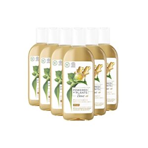 Dove Powered by Plants Naturkosmetik Pflegedusche Ginger mit pflanzenbasierten Wirkstoffen natürlichen Urspungs für eine pflegende Reinigung der Haut, 6er Pack (6 x 250 ml)